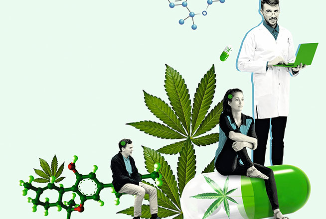 Le cannabis peut-il être considéré comme un médicament ?
