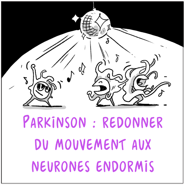 Parkinson : redonner du mouvement aux neurones endormis