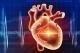 Insuffisance cardiaque : percer le rôle de la membrane des cellules contractiles du cœur