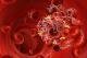 Syndrome des antiphospholipides : découverte de deux protéines clés dans la formation des caillots sanguins